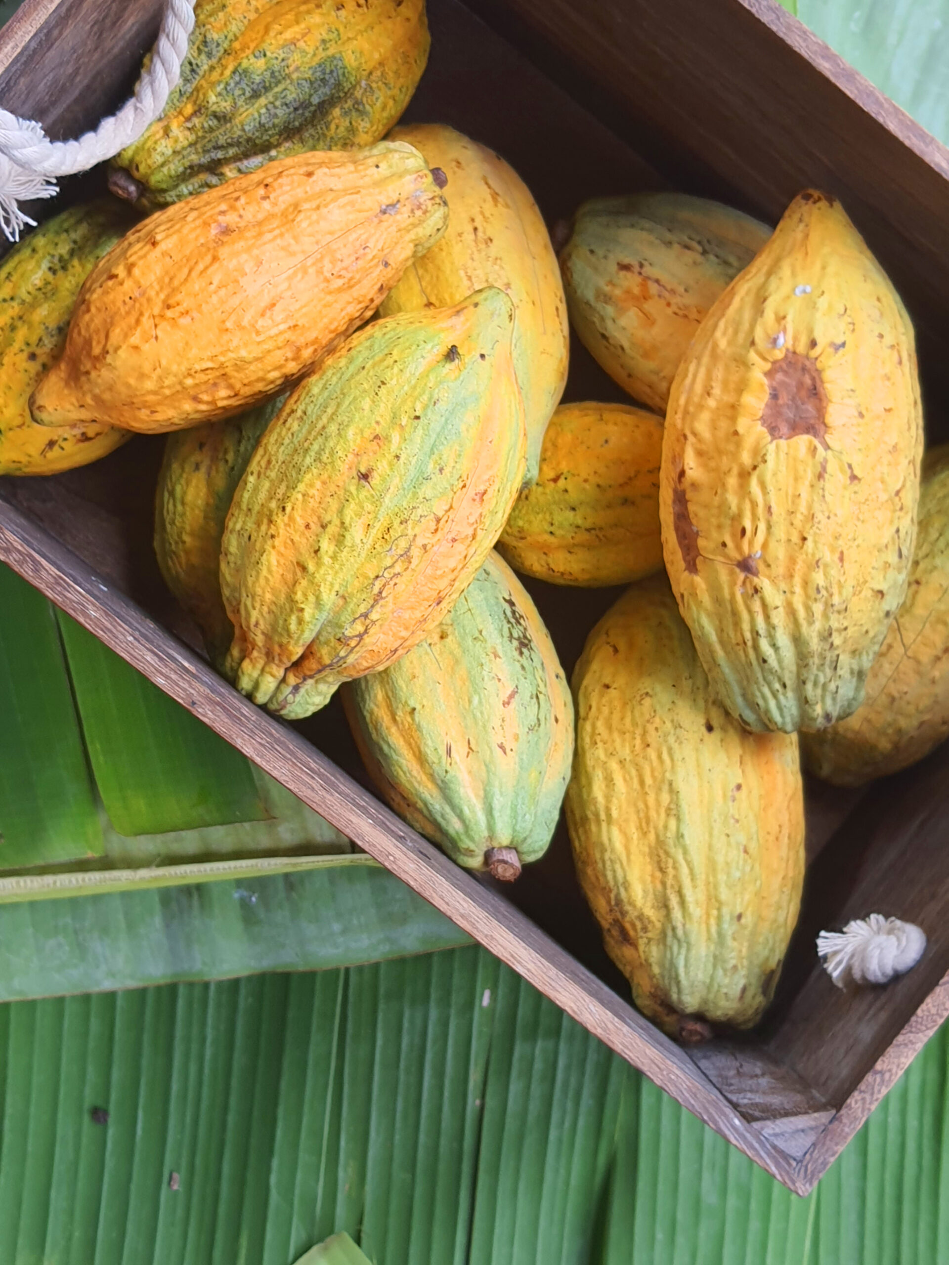 Farm products